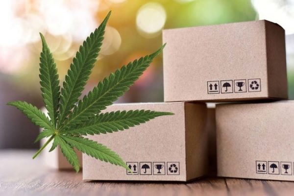 The Highest Quality Standard for CBD Boxes