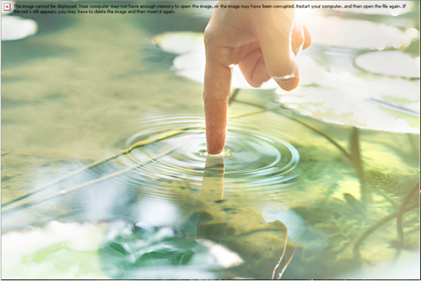 Ditch the Green by Natural Way to Get Clear Pond Water
